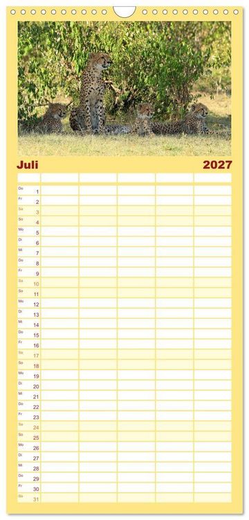 Produktbild: Familienplaner 2027 - Geparden - Begegnungen in Afrika mit 5 Spalten (Wandkalender, 21 x 45 cm) CALVENDO