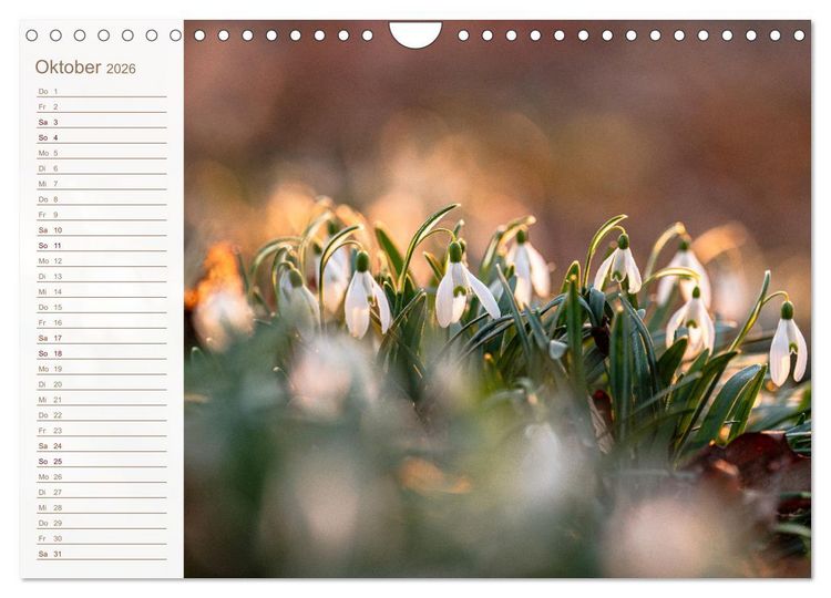 Produktbild: Wenn im Fr&uuml;hling die Natur wieder erwacht (Wandkalender 2026 DIN A4 quer), CALVENDO Monatskalender