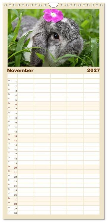 Produktbild: Familienplaner 2027 - Hasen - Die niedlichen Hoppeltiere. mit 5 Spalten (Wandkalender, 21 x 45 cm) CALVENDO