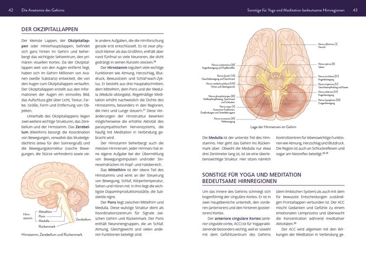 Produktbild: Die Neurowissenschaft hinter Yoga und Meditation