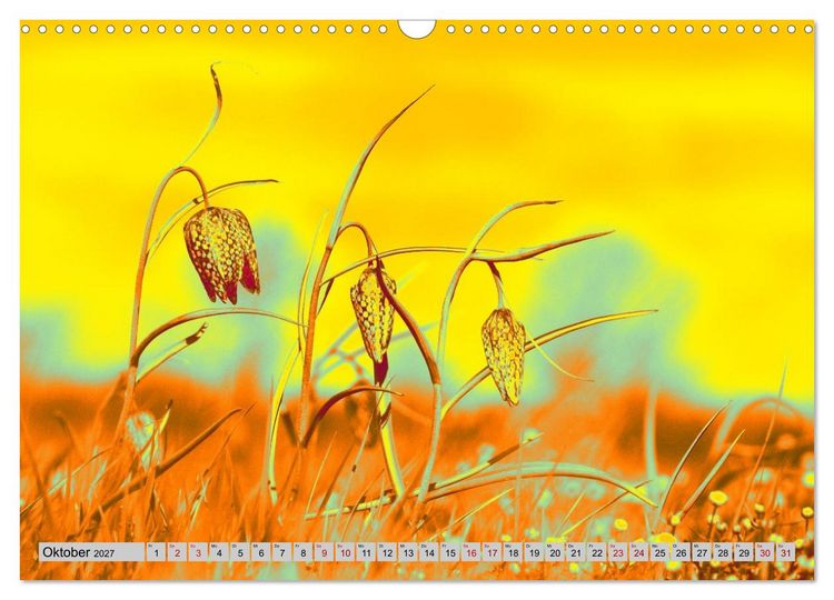 Produktbild: Blumen Pop-Art (Wandkalender 2027 DIN A3 quer), CALVENDO Monatskalender