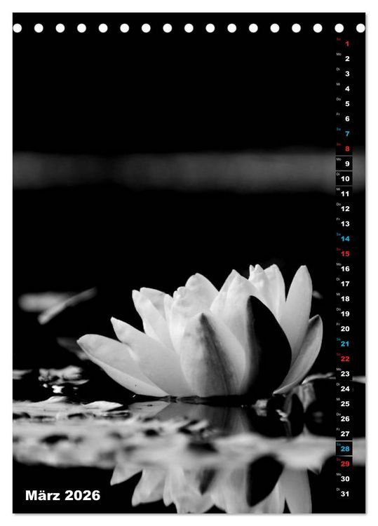 Produktbild: Blumige Graustufen - Schwarz und Wei&szlig; (Tischkalender 2026 DIN A5 hoch), CALVENDO Monatskalender
