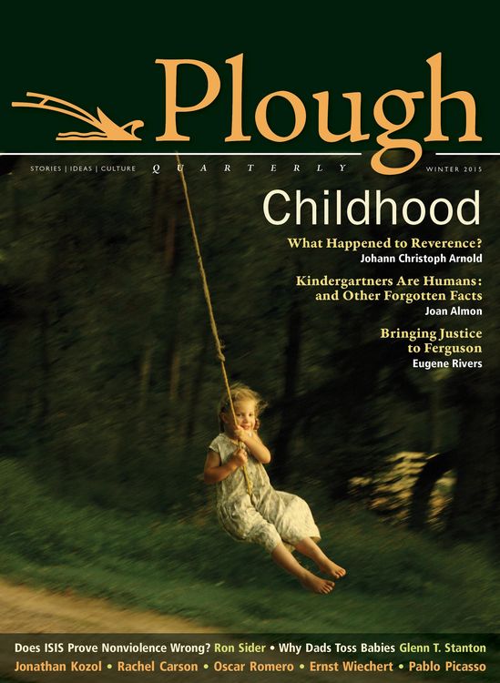 Produktbild: Plough Quarterly No. 3