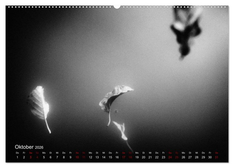 Produktbild: FREIWASSERLUST (hochwertiger Premium Wandkalender 2026 DIN A2 quer), Kunstdruck in Hochglanz