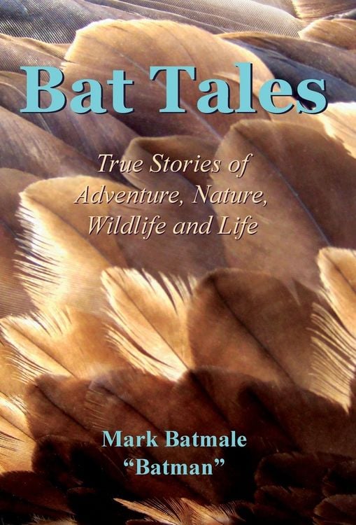 Produktbild: Bat Tales