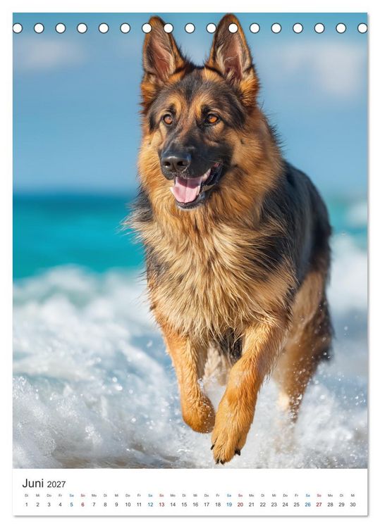 Produktbild: Seelenblick Sch&auml;ferhund (Tischkalender 2027 DIN A5 hoch), CALVENDO Monatskalender