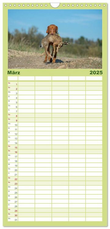 Familienplaner 2025 - Jagdhunde bei der Arbeit mit 5 Spalten (Wandkalender, 21 x 45 cm) CALVENDO