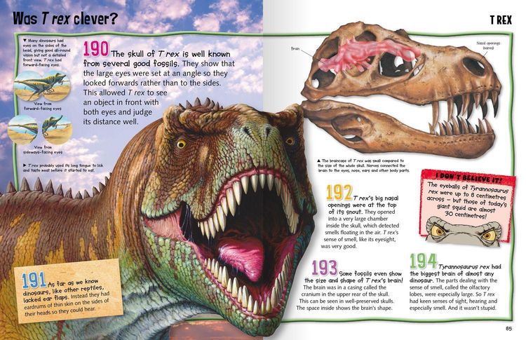 Produktbild: Wild About Dinosaurs