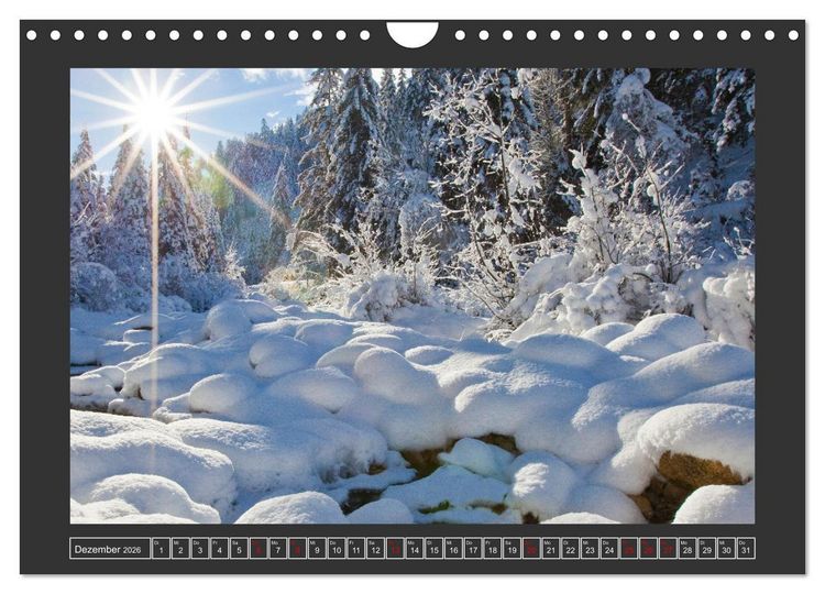 Produktbild: Gr&uuml;&szlig;e aus Wald (Wandkalender 2026 DIN A4 quer), CALVENDO Monatskalender