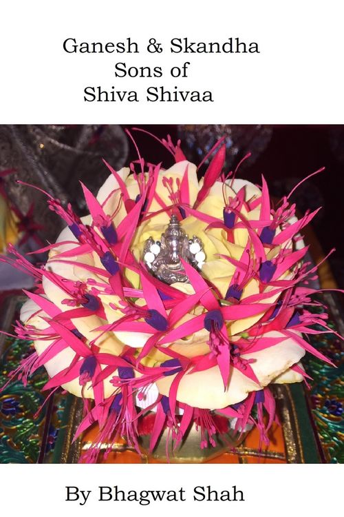 Produktbild: Ganesh & Skandha Sons of Shiva Shivaa