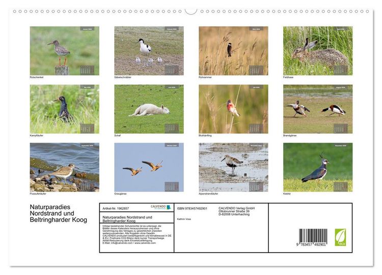 Produktbild: Naturparadies Nordstrand und Beltringharder Koog (hochwertiger Premium Wandkalender 2026 DIN A2 quer), Kunstdruck in Hochglanz