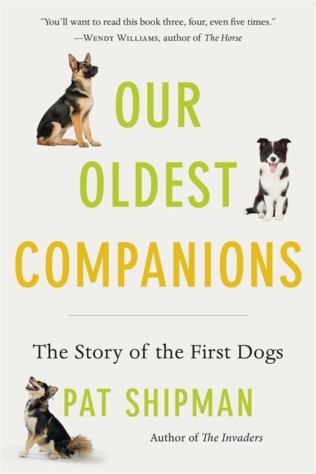 Produktbild: Our Oldest Companions
