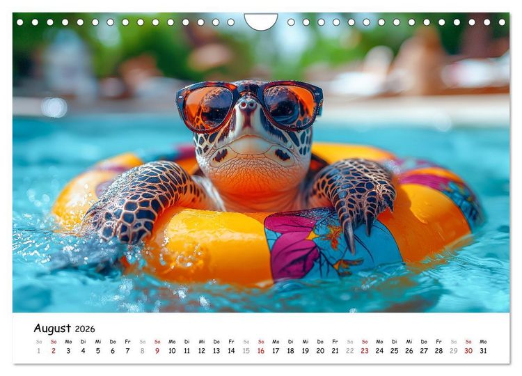 Produktbild: CHILL MAL - Entspannte Schildkr&ouml;ten beim Faulenzen (Wandkalender 2026 DIN A4 quer), CALVENDO Monatskalender
