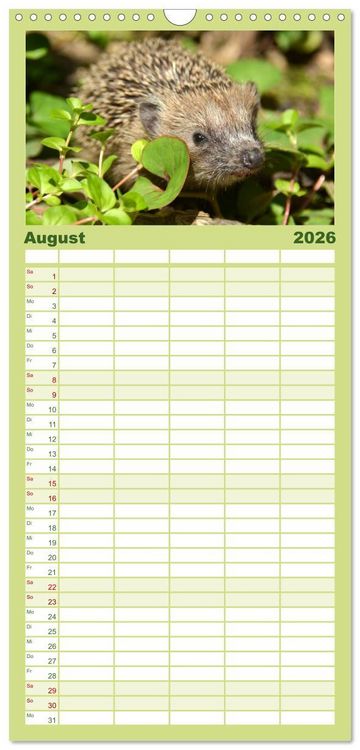 Produktbild: Familienplaner 2026 - Die lieben Kleinen ... Tierkinder einfach zum Knuddeln mit 5 Spalten (Wandkalender, 21 x 45 cm) CALVENDO