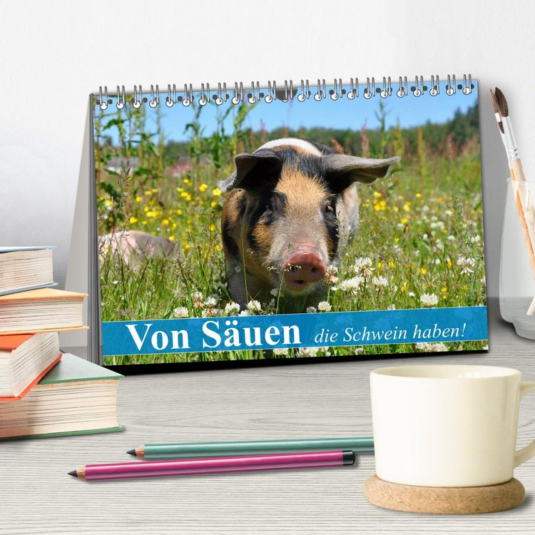 Produktbild: Von S&auml;uen die Schwein haben! (Tischkalender 2026 DIN A5 quer), CALVENDO Monatskalender
