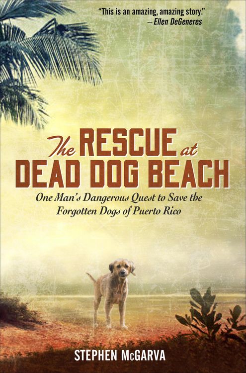 Produktbild: The Rescue at Dead Dog Beach