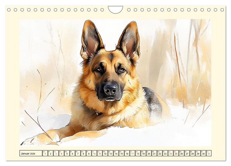 Produktbild: Deutsche Sch&auml;ferhunde. Majest&auml;tische W&auml;chter im Aquarell-Stil (Wandkalender 2026 DIN A4 quer), CALVENDO Monatskalender