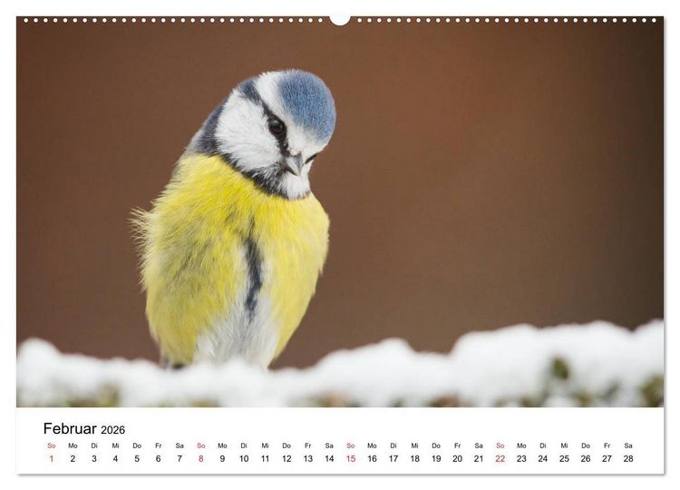 Produktbild: Unsere heimische Tierwelt (Wandkalender 2026 DIN A2 quer), CALVENDO Monatskalender