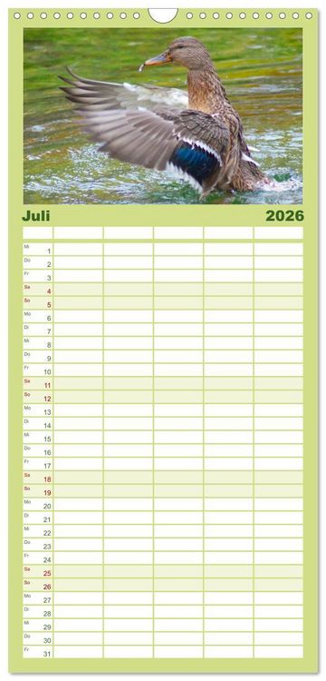Produktbild: Familienplaner 2026 - Duck Power mit 5 Spalten (Wandkalender, 21 x 45 cm) CALVENDO