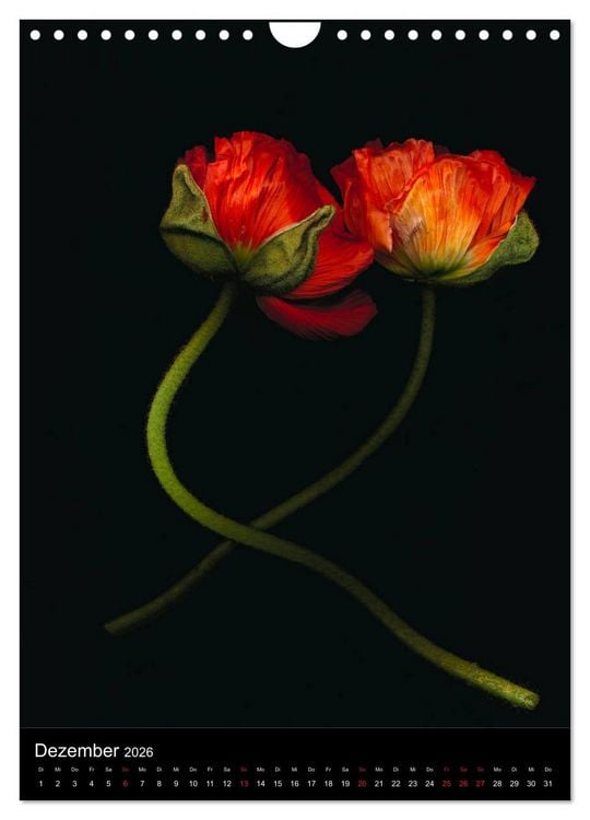 Produktbild: Blumen bei Nacht (Wandkalender 2026 DIN A4 hoch), CALVENDO Monatskalender