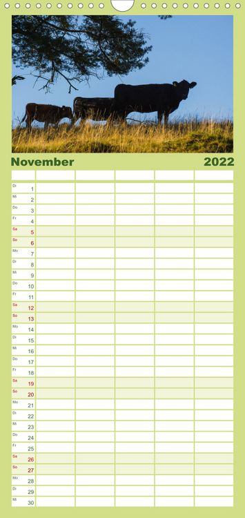Produktbild: Ein Herz f&uuml;r Rinder - Familienplaner hoch (Wandkalender 2022 , 21 cm x 45 cm, hoch)