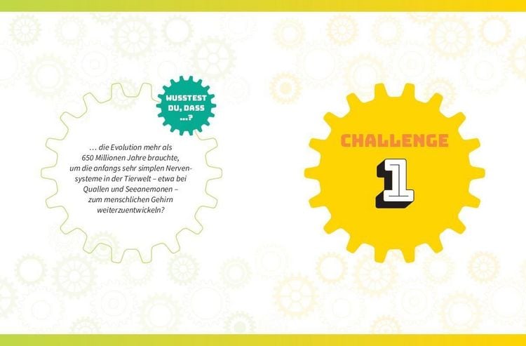 Produktbild: Die ultimative R&auml;tsel-Challenge Ged&auml;chtnistraining