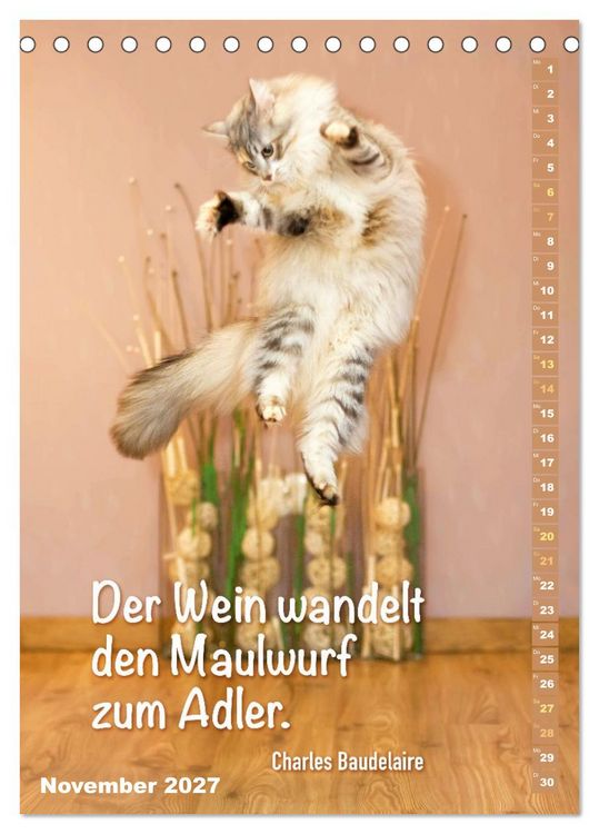 Produktbild: Der literarische Katerkalender (Tischkalender 2027 DIN A5 hoch), CALVENDO Monatskalender