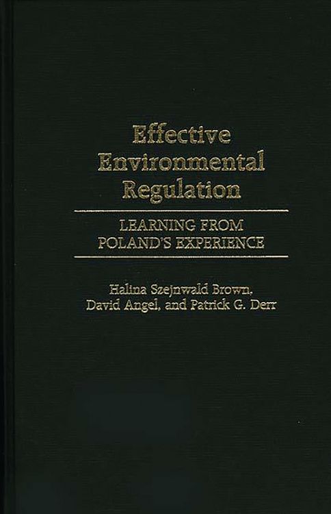 Produktbild: Effective Environmental Regulation