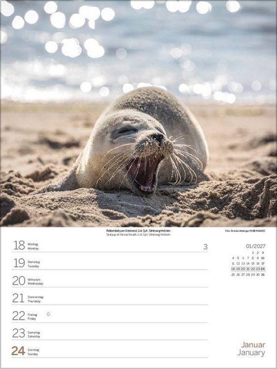 Produktbild: Nord- und Ostsee Wochenkalender 2027