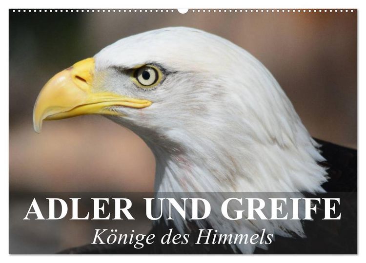 Produktbild: Adler und Greife - K&ouml;nige des Himmels (Wandkalender 2026 DIN A2 quer), CALVENDO Monatskalender