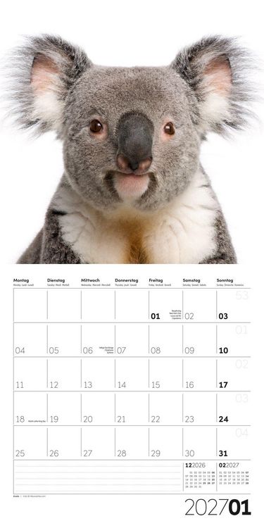 Produktbild: Animals Kalender 2027 - 30x30 - Art12