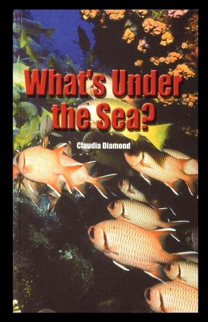 Produktbild: What's Under the Sea?