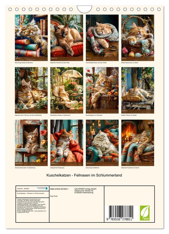 Produktbild: Kuschelkatzen - Fellnasen im Schlummerland (Wandkalender 2026 DIN A4 hoch), CALVENDO Monatskalender