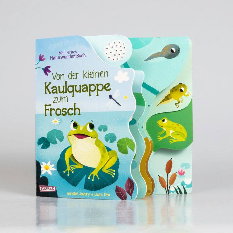 Produktbild: Von der kleinen Kaulquappe zum Frosch
