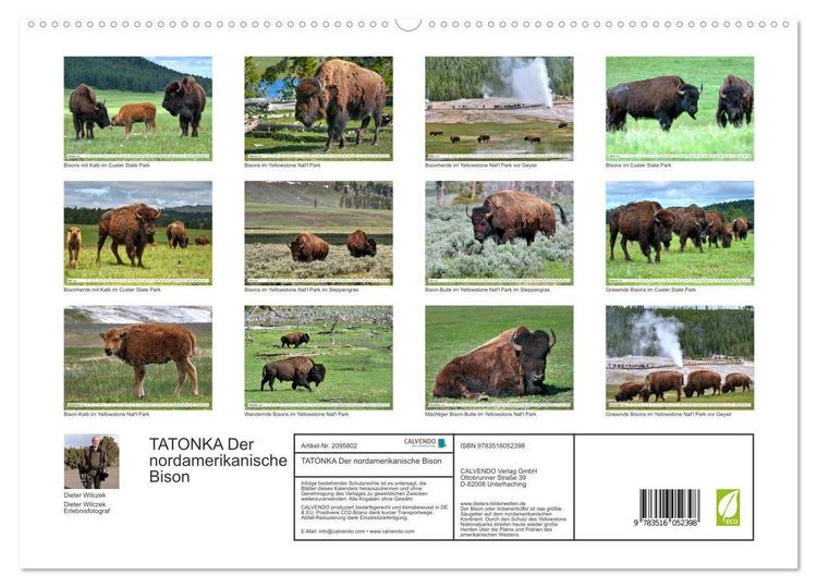 Produktbild: TATONKA Der nordamerikanische Bison (hochwertiger Premium Wandkalender 2026 DIN A2 quer), Kunstdruck in Hochglanz