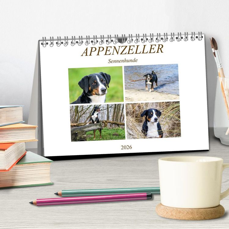 Produktbild: Appenzeller Sennenhunde (Tischkalender 2026 DIN A5 quer), CALVENDO Monatskalender
