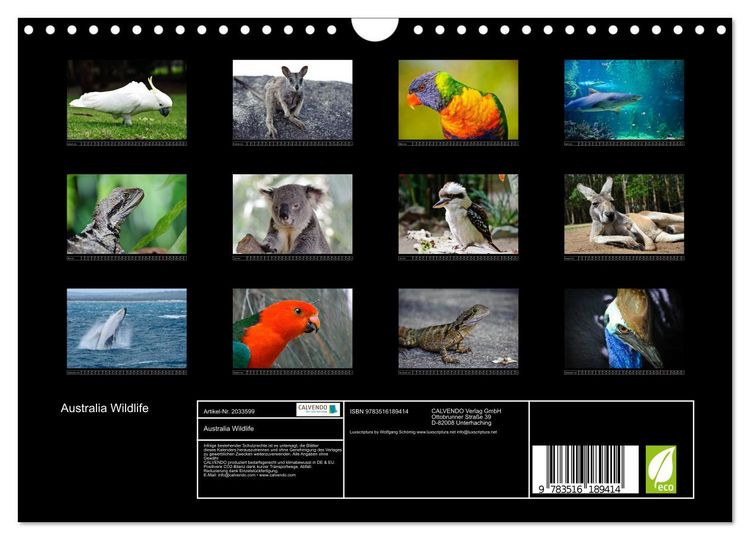 Produktbild: Australia Wildlife (Wandkalender 2026 DIN A4 quer), CALVENDO Monatskalender