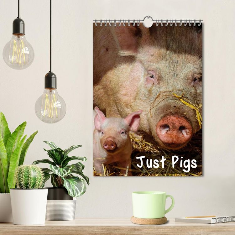 Produktbild: Just Pigs (Wall Calendar 2026 DIN A4 portrait), CALVENDO 12 Month Wall Calendar