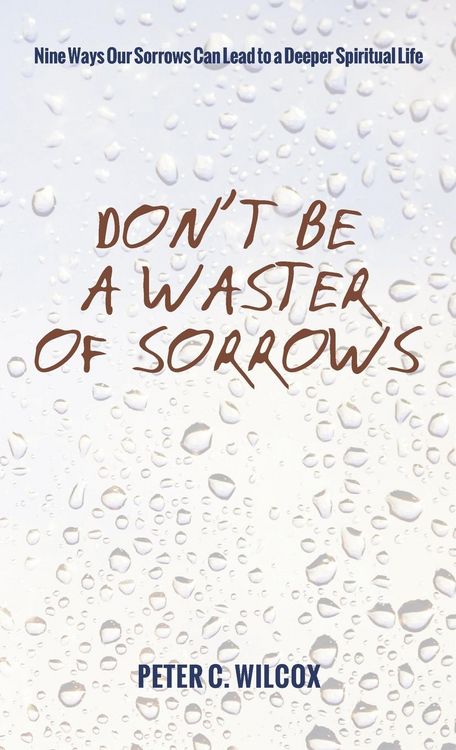 Produktbild: Don't Be a Waster of Sorrows