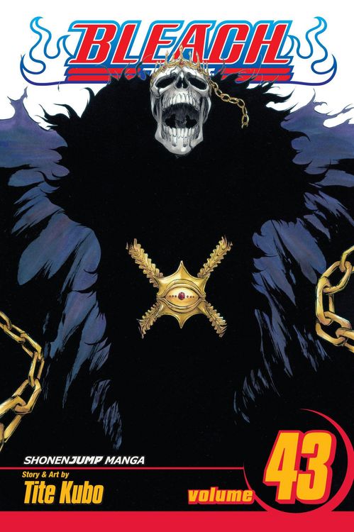 Produktbild: Bleach, 43