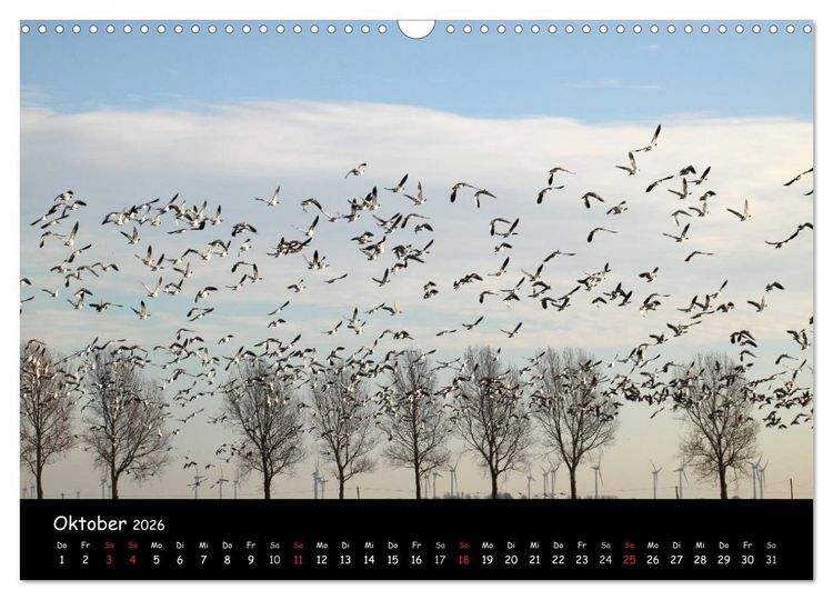 Produktbild: Schrei der Wildg&auml;nse (Wandkalender 2026 DIN A3 quer), CALVENDO Monatskalender