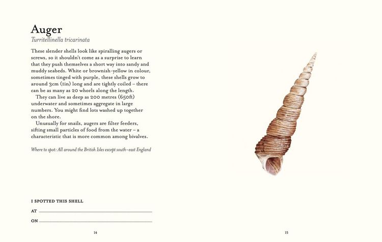 Produktbild: The Shell-Spotter's Guide