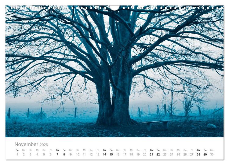 Produktbild: Farbrausch - die Welt in Pastell (Wandkalender 2026 DIN A3 quer), CALVENDO Monatskalender