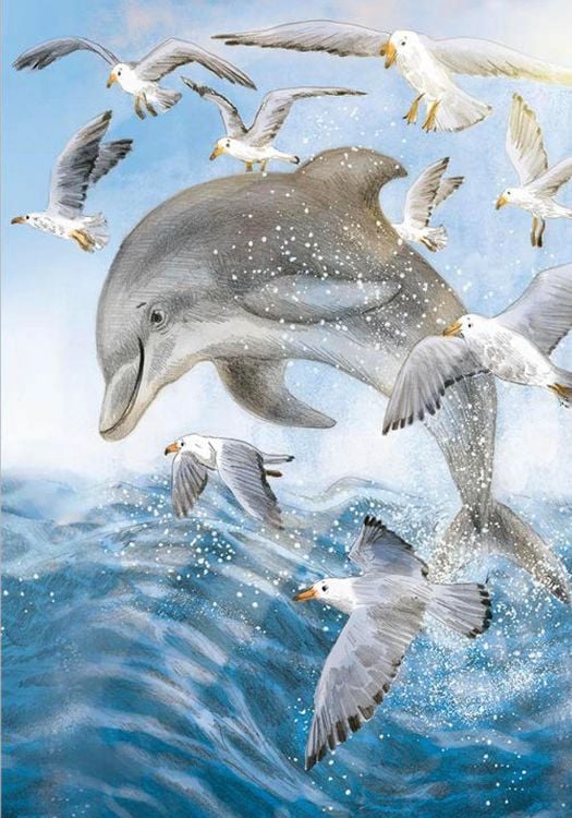 Produktbild: Wunderwelt der Tiere im Meer - Gelesen von Jakob Graf