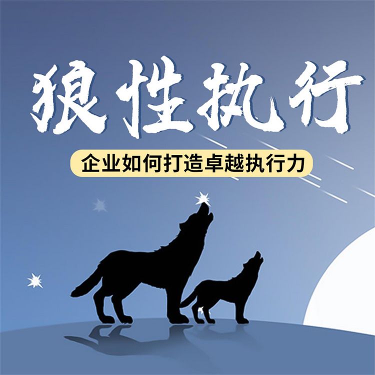 Produktbild: 狼性执行：企业如何打造卓越执行力
