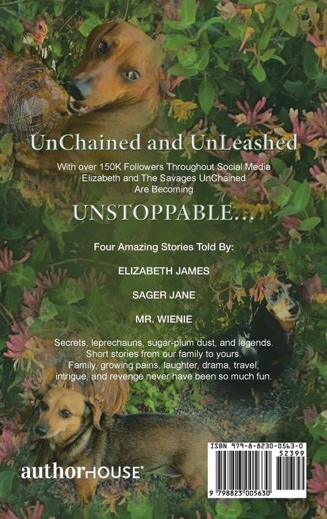 Produktbild: Novelettes from Elizabeth and the Savages Unchained