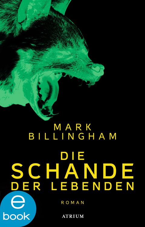 Produktbild: Die Schande der Lebenden