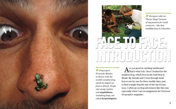Produktbild: Nat Geo Reader Frogs