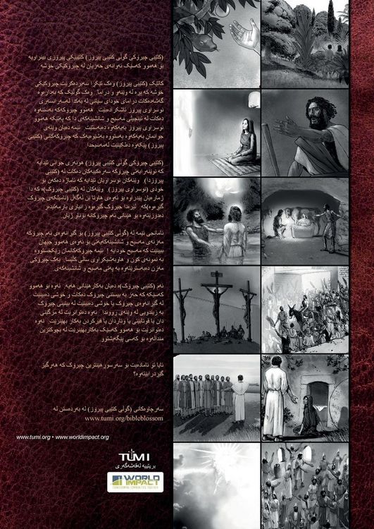 Produktbild: Bible Blossom Storybook, Kurdish