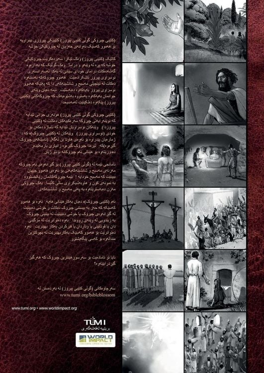 Produktbild: Bible Blossom Storybook, Kurdish
